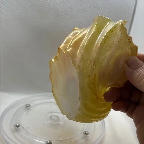 Unique Resin Gold Leaf-Shaped Decorative Bowl - Picture 7 of 17